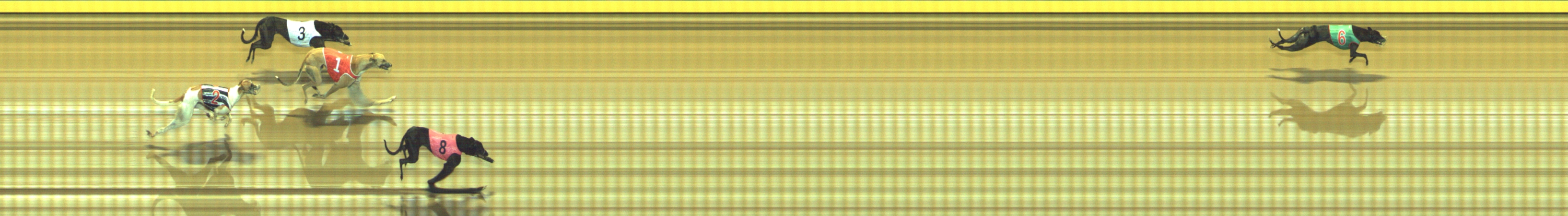 Photo finish for Geelong Race 2