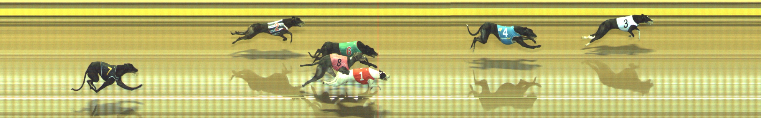 Photo finish for Geelong Race 3
