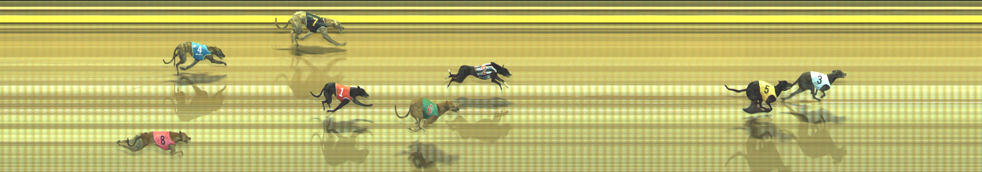 Photo finish for Geelong Race 4