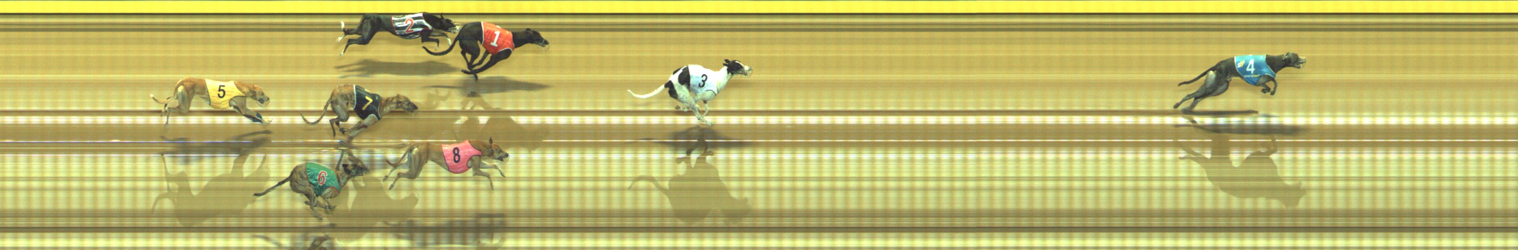 Photo finish for Geelong Race 6