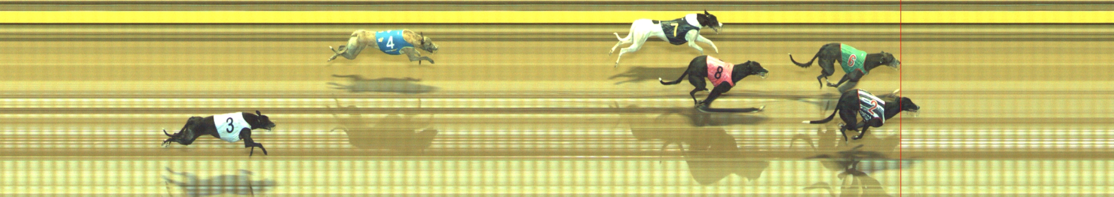 Photo finish for Geelong Race 7