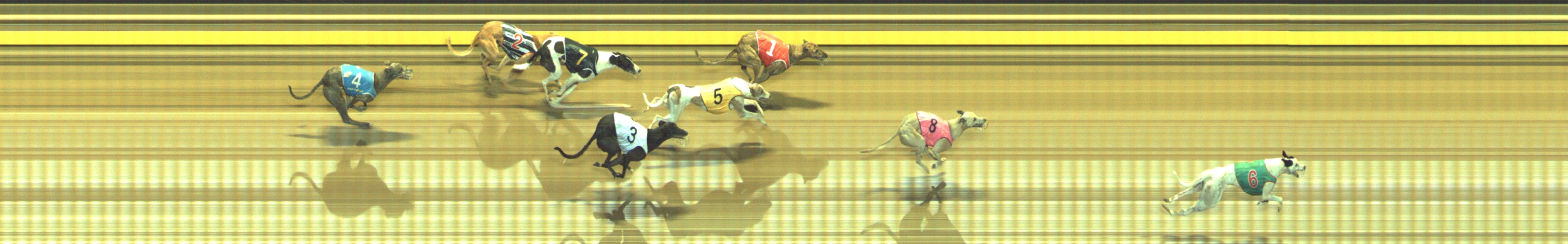 Photo finish for Geelong Race 8