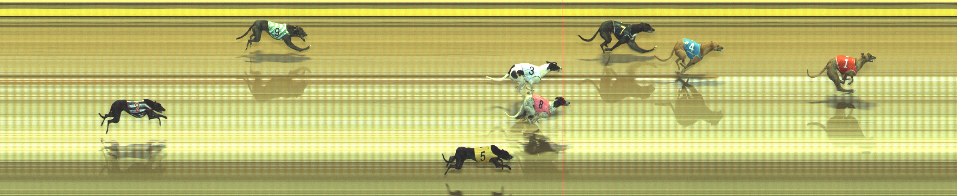 Photo finish for Geelong Race 10