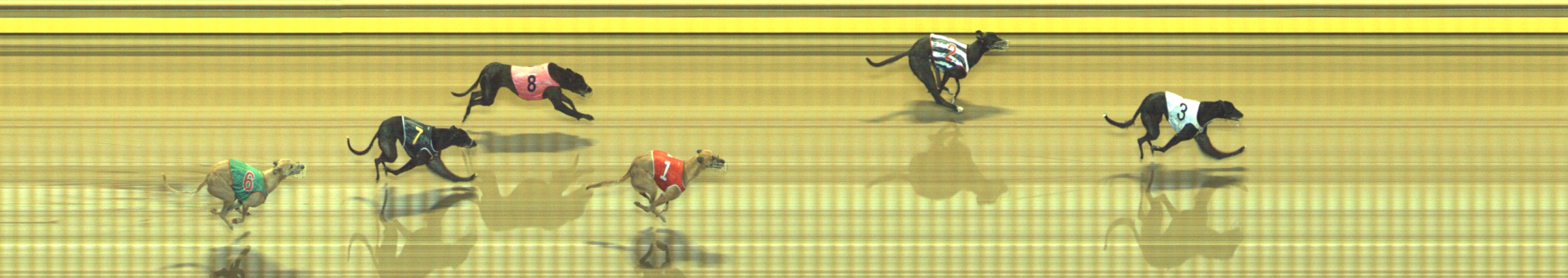 Photo finish for Geelong Race 12