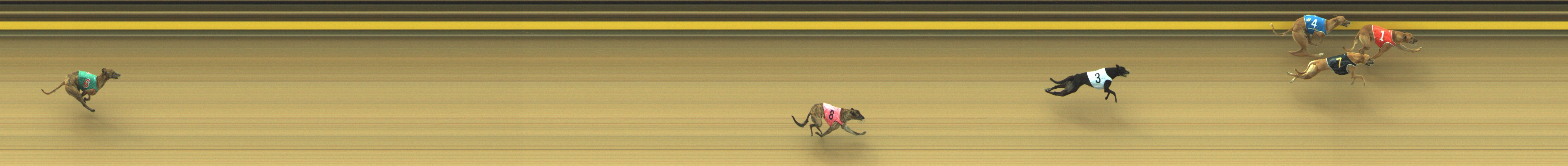 Photo finish for Geelong Race 2