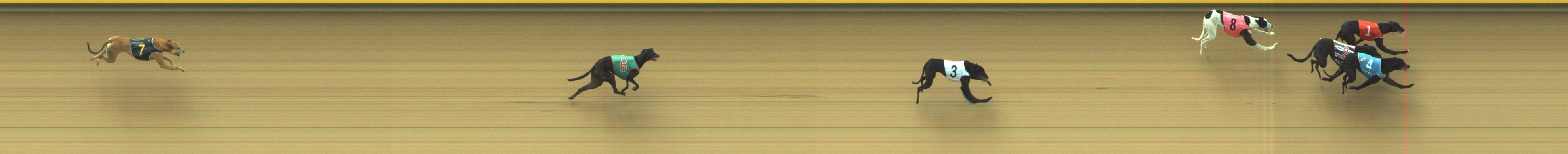 Photo finish for Geelong Race 3
