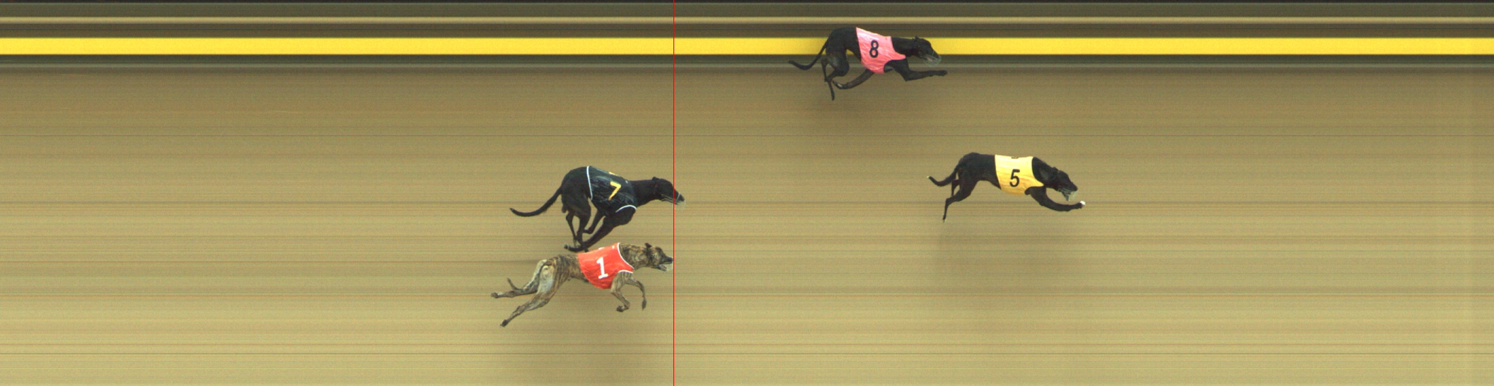 Photo finish for Geelong Race 4