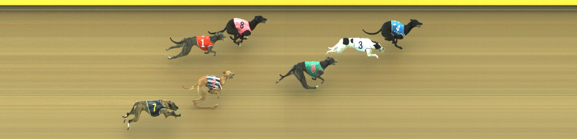 Photo finish for Geelong Race 5