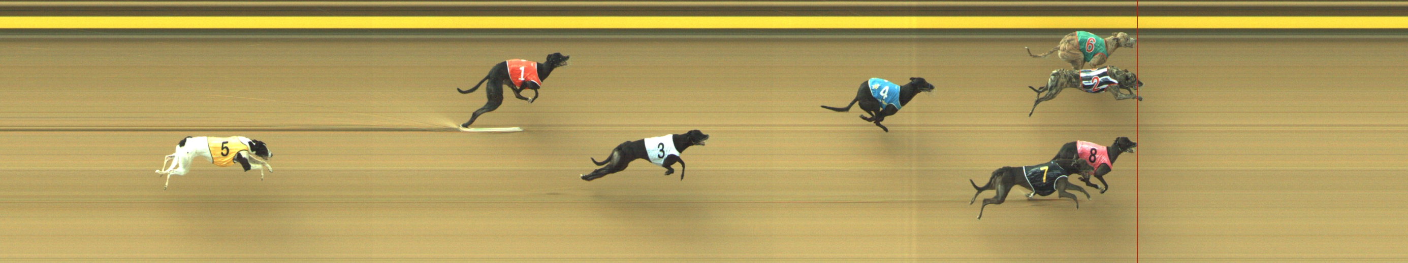 Photo finish for Geelong Race 6