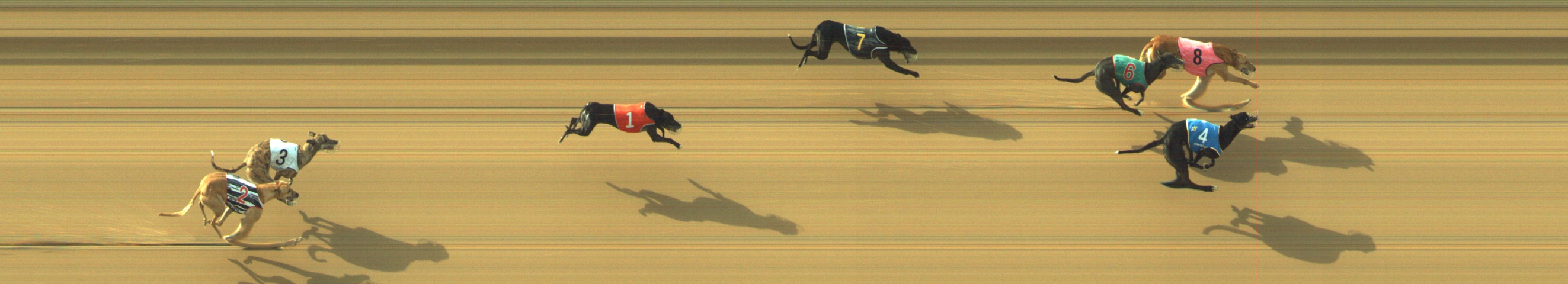 Photo finish for Geelong Race 7