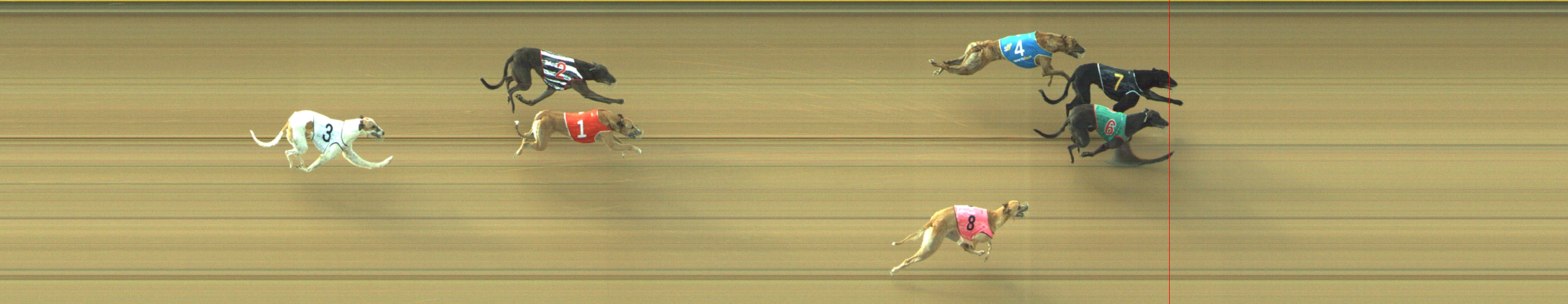 Photo finish for Geelong Race 8