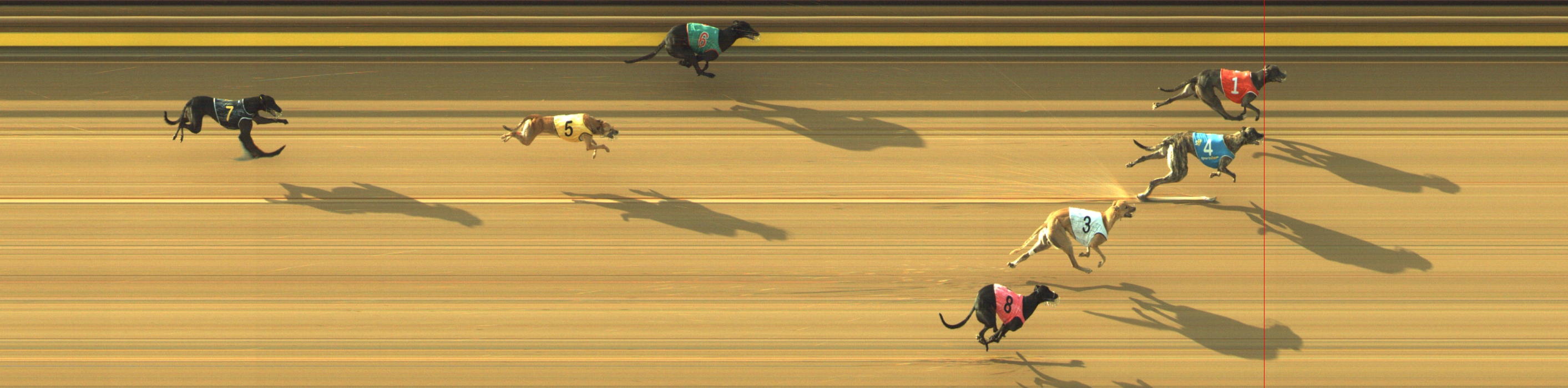Photo finish for Geelong Race 9