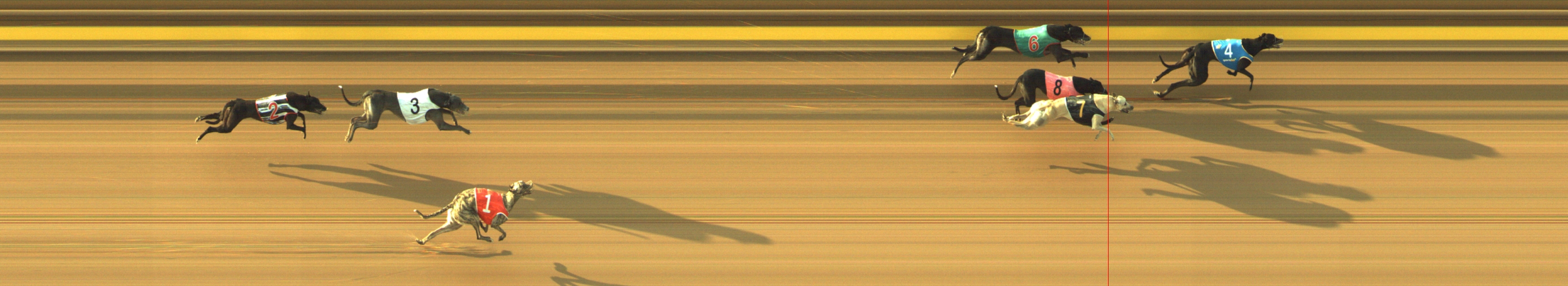 Photo finish for Geelong Race 10