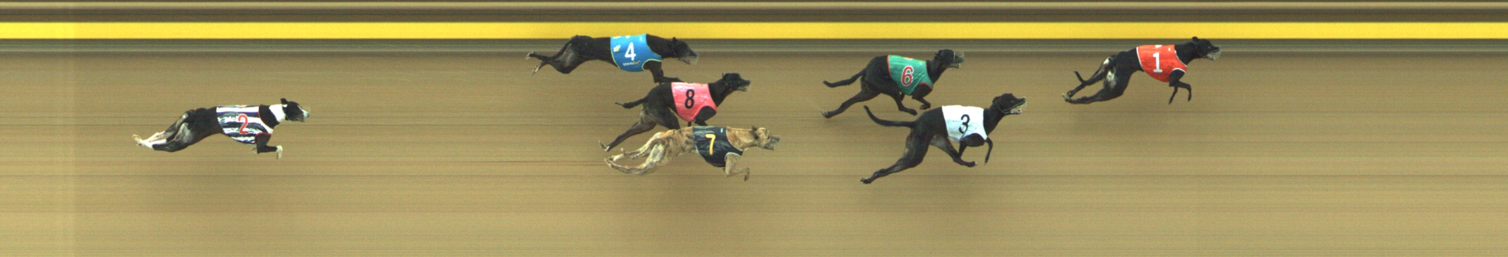 Race result finish photo