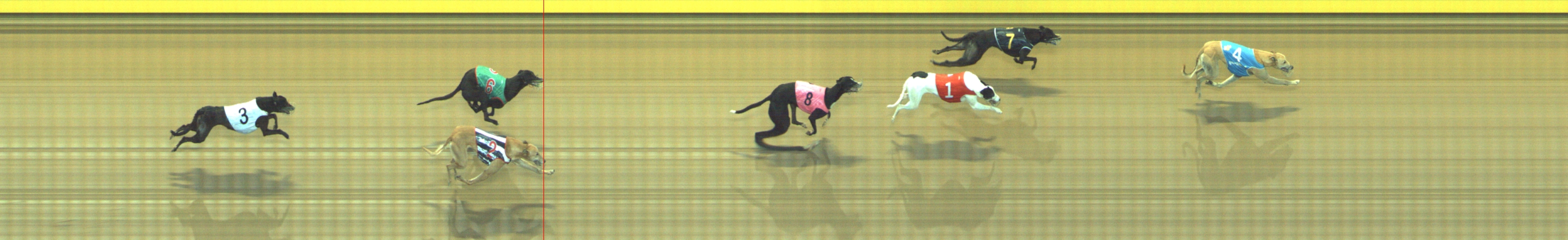 Photo finish for Geelong Race 12