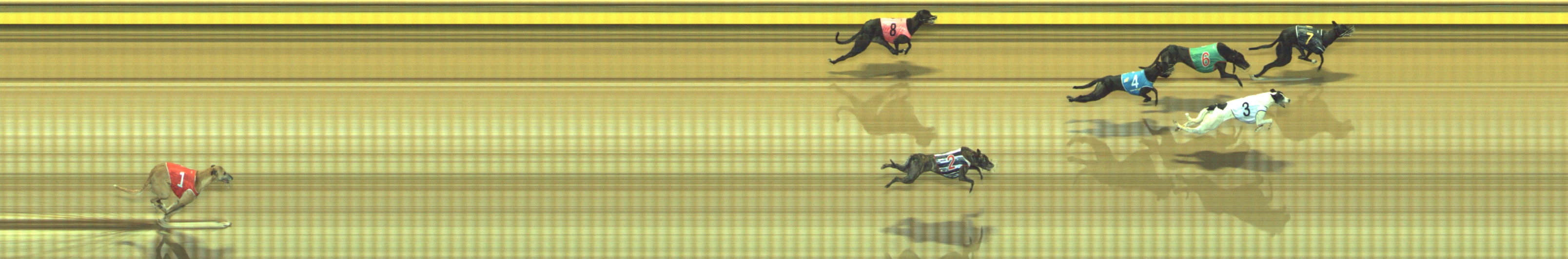 Photo finish for Geelong Race 13