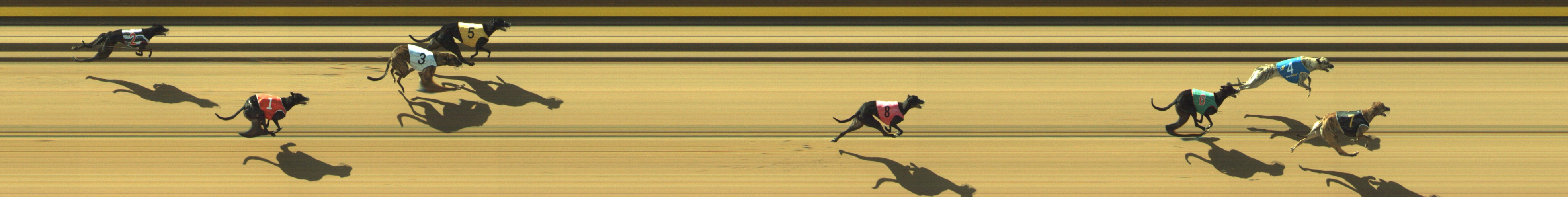 Race result finish photo