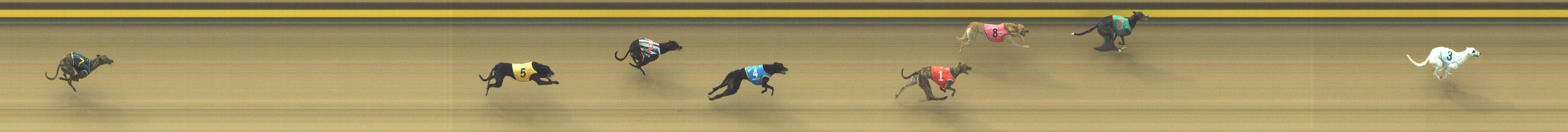 Race result finish photo