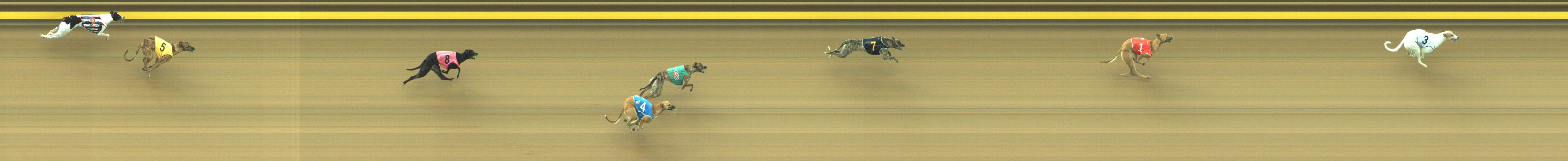 Race result finish photo