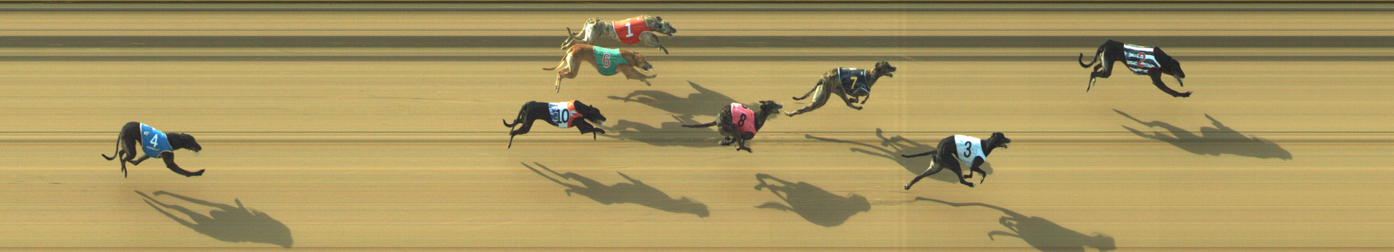 Race result finish photo