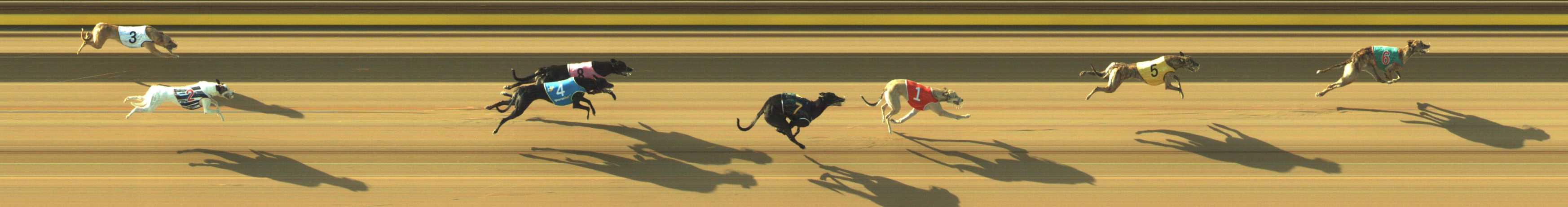 Race result finish photo