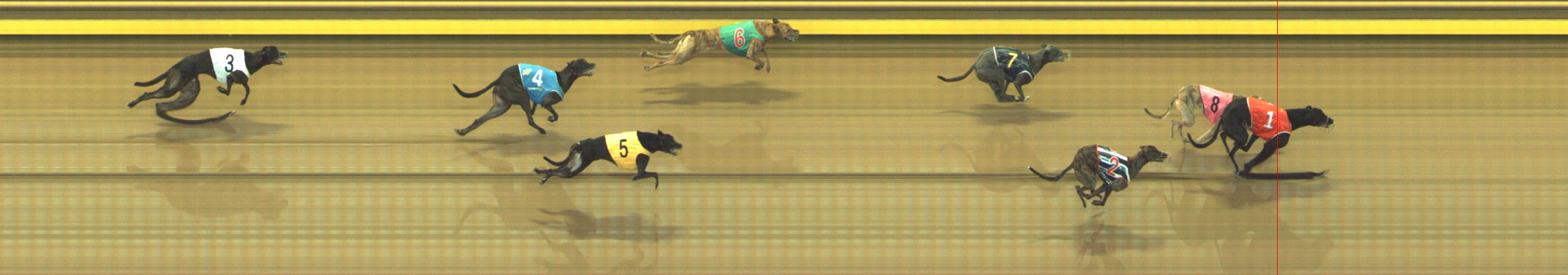 Race result finish photo