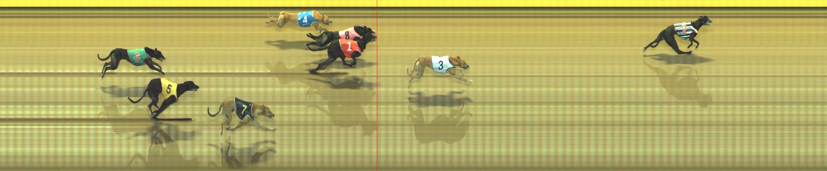 Race result finish photo