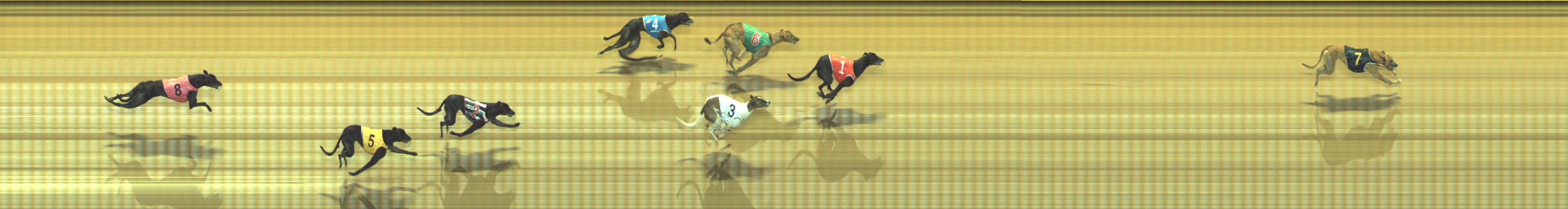 Race result finish photo