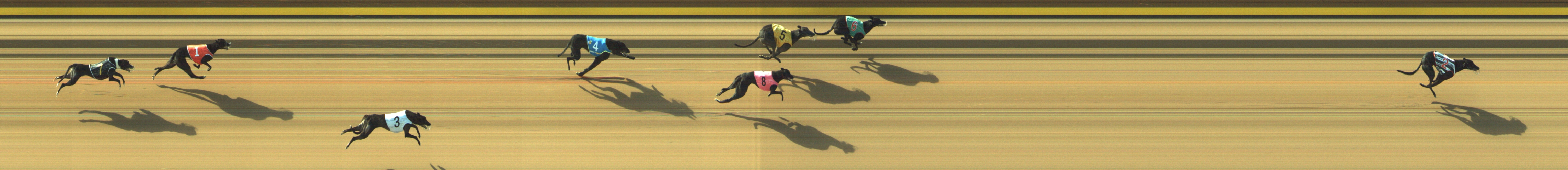 Race result finish photo