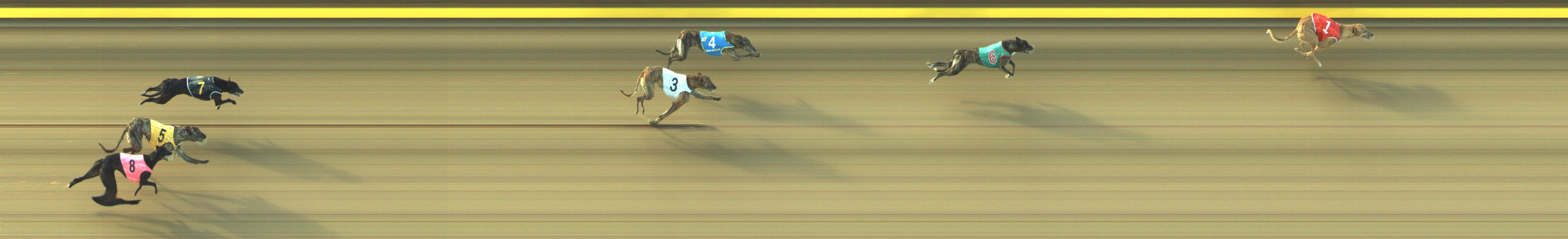 Photo finish for Geelong Race 4