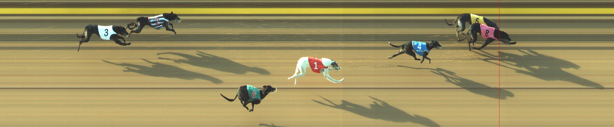 Photo finish for Geelong Race 5