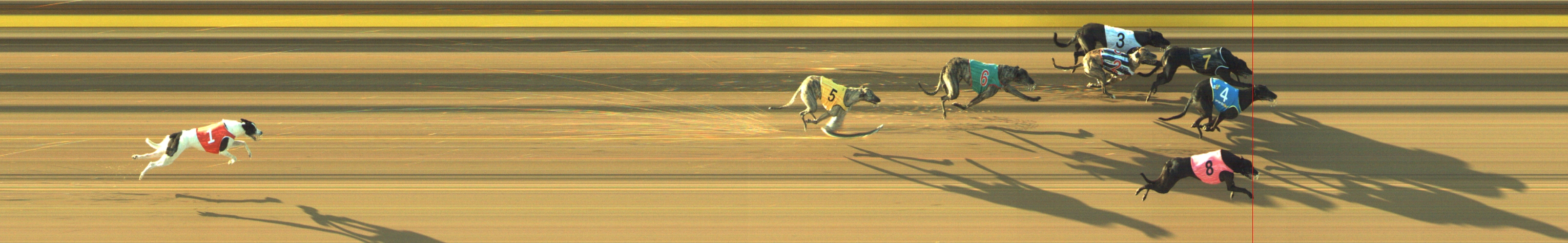 Photo finish for Geelong Race 6