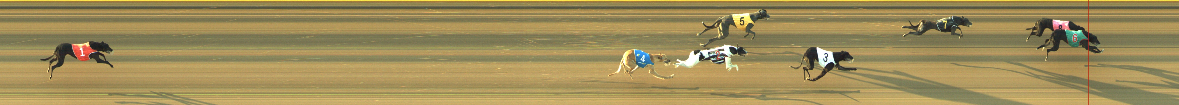 Photo finish for Geelong Race 7