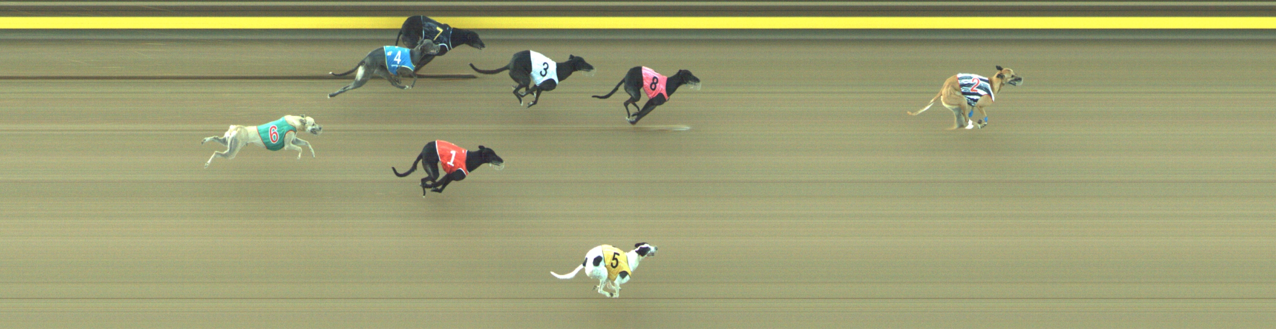 Photo finish for Geelong Race 8