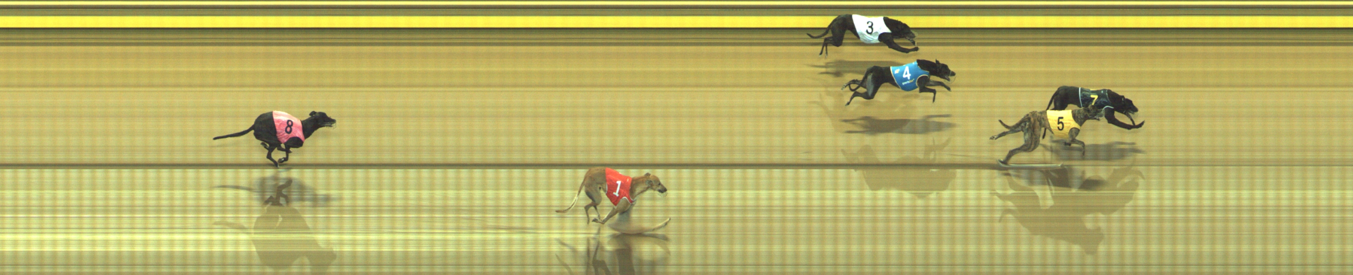 Photo finish for Geelong Race 9