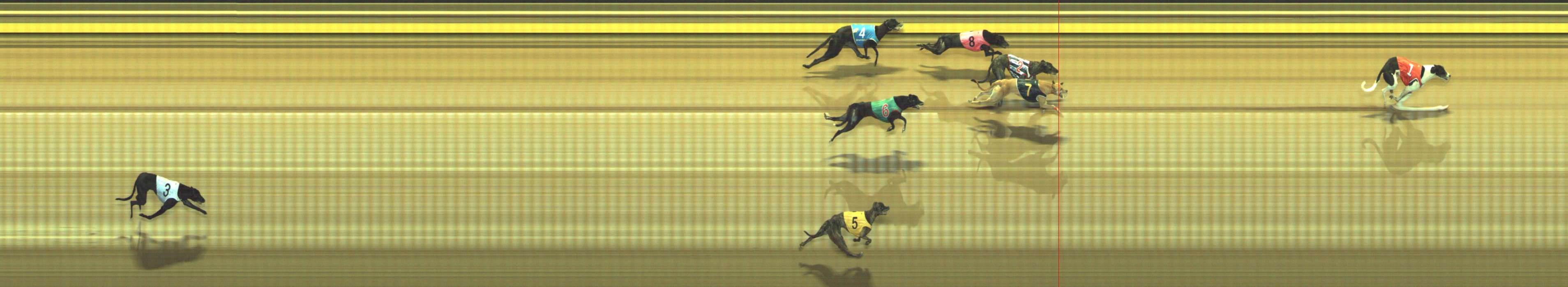 Photo finish for Geelong Race 10