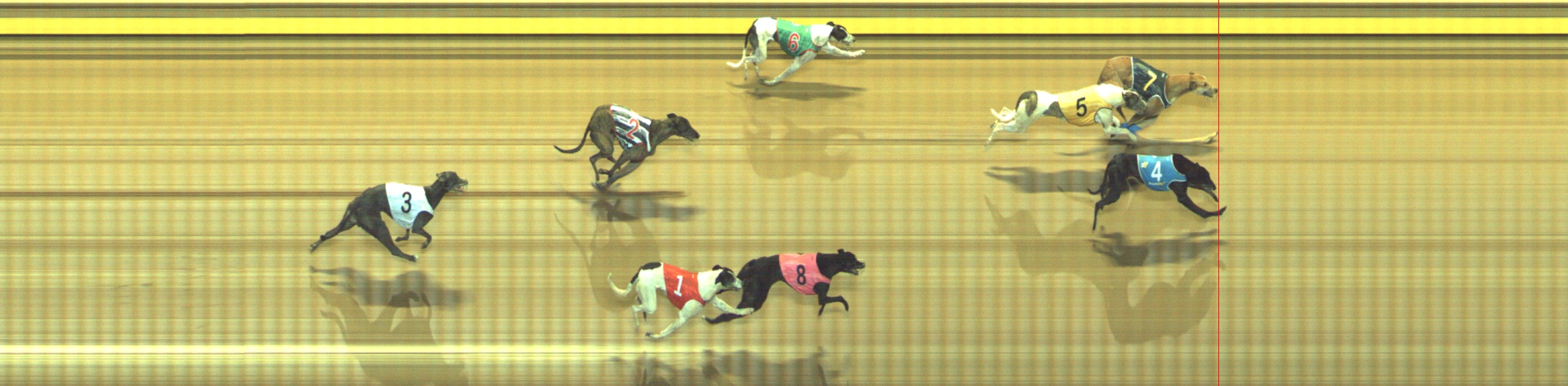 Photo finish for Geelong Race 13