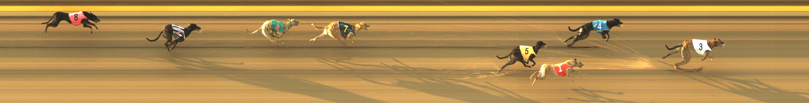 Race result finish photo