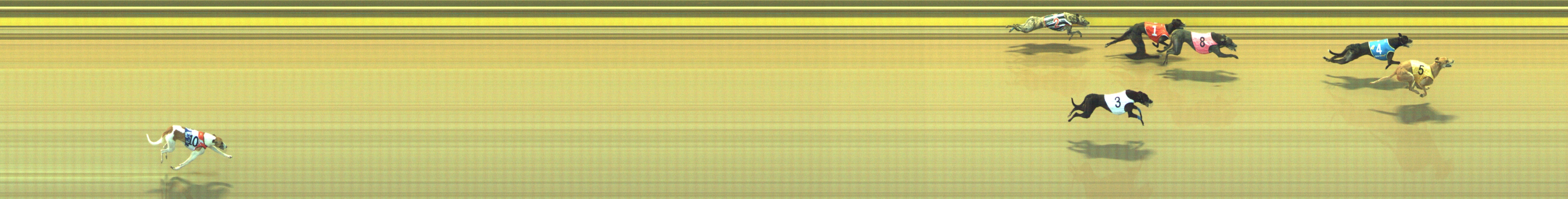 Race result finish photo