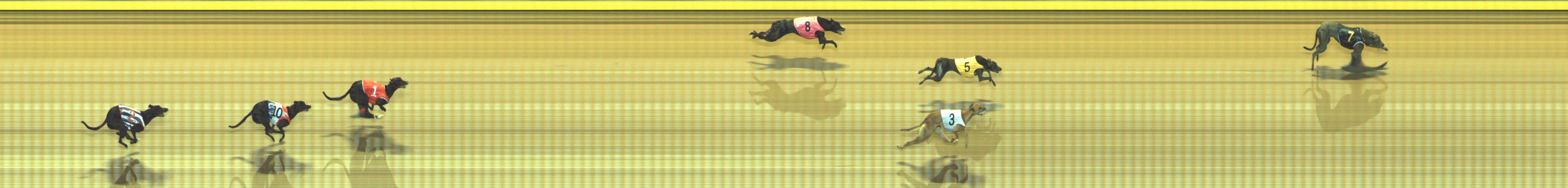 Race result finish photo