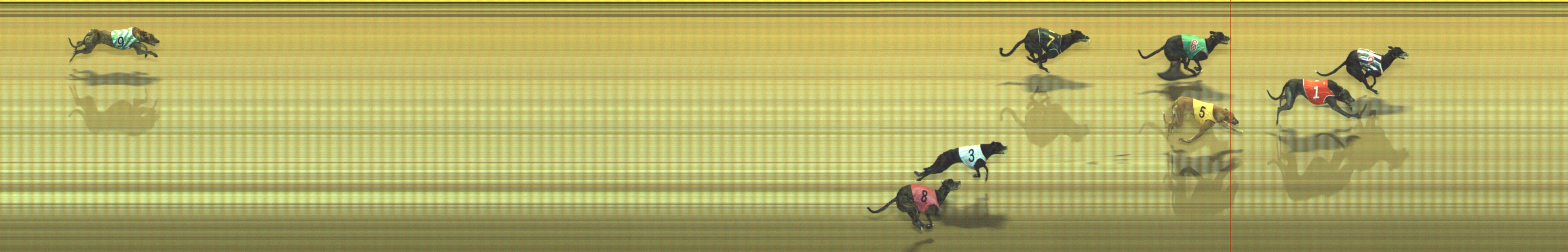 Race result finish photo
