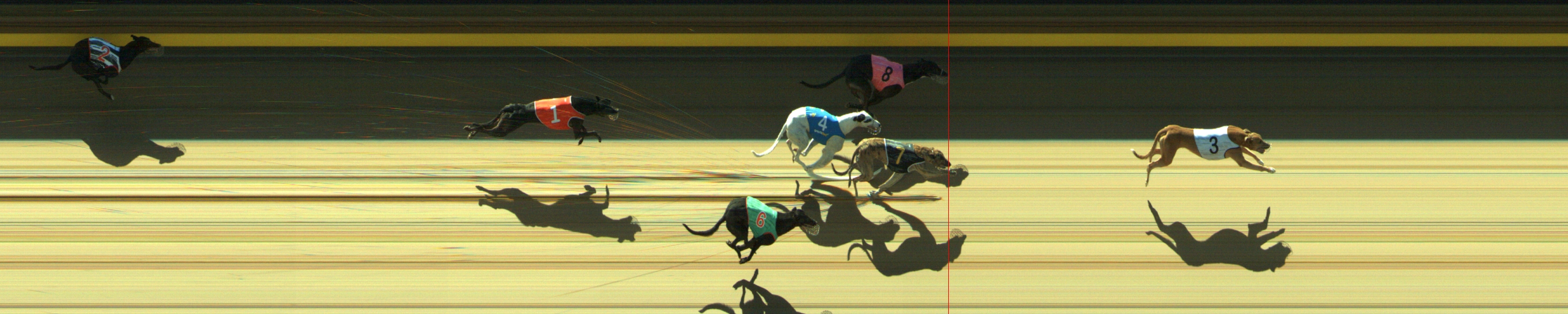 Photo finish for Geelong Race 2