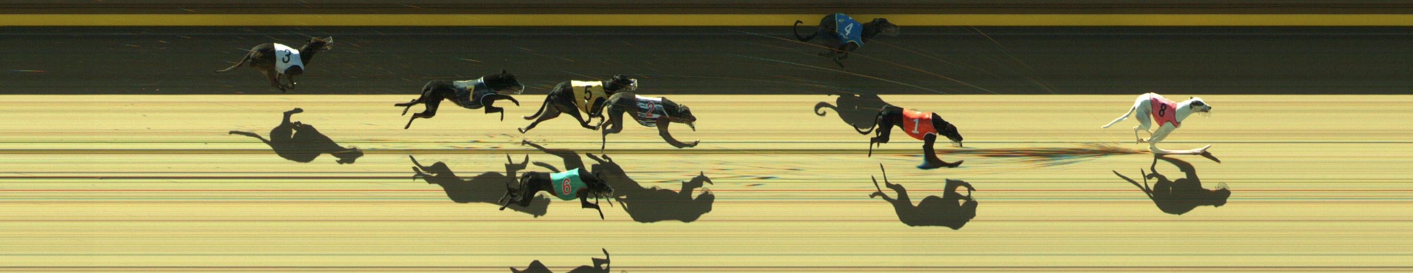 Photo finish for Geelong Race 3