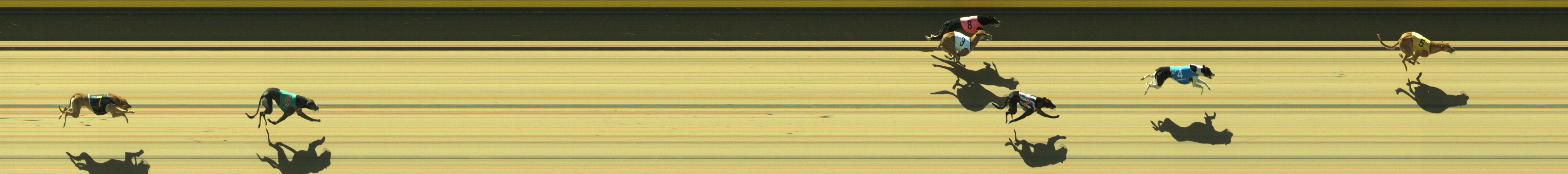 Photo finish for Geelong Race 4