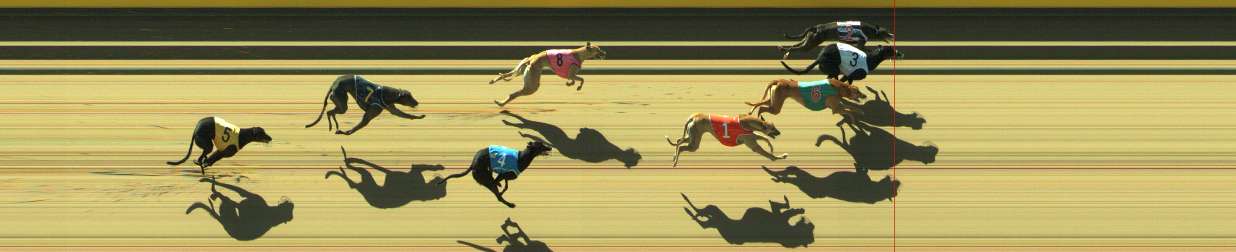 Photo finish for Geelong Race 5
