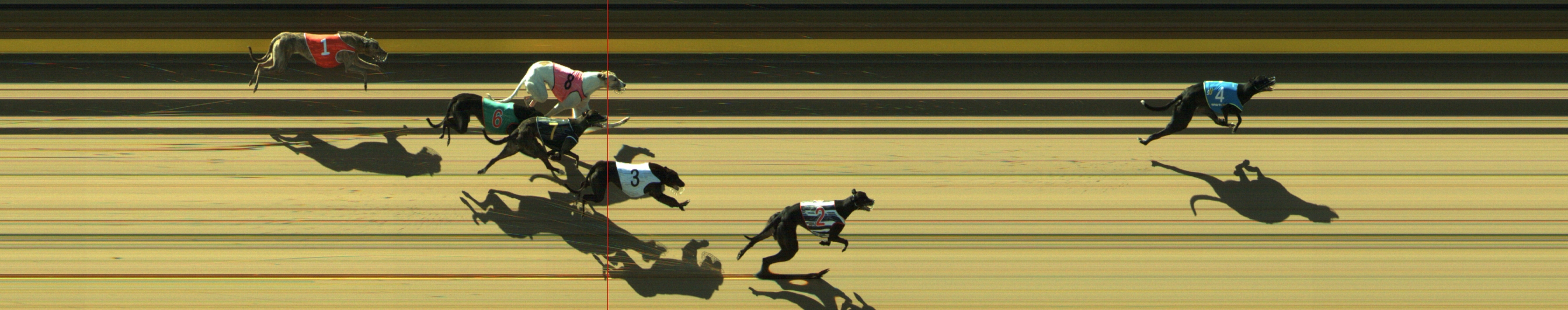 Photo finish for Geelong Race 6
