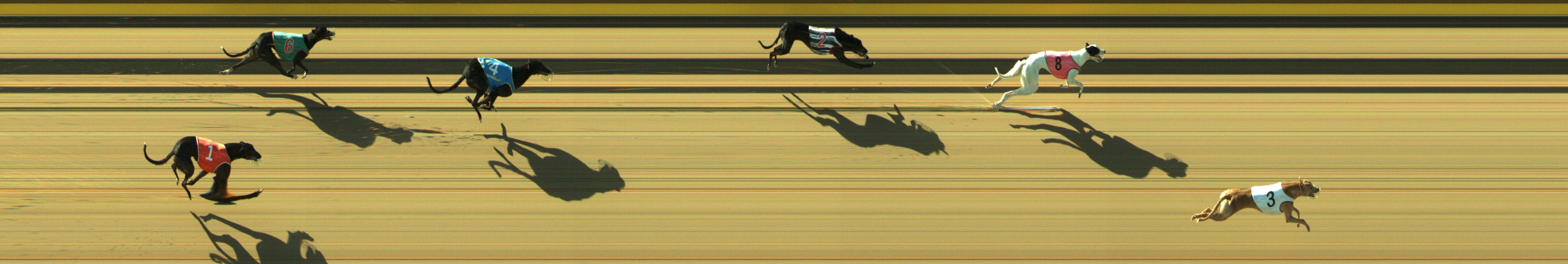 Photo finish for Geelong Race 9
