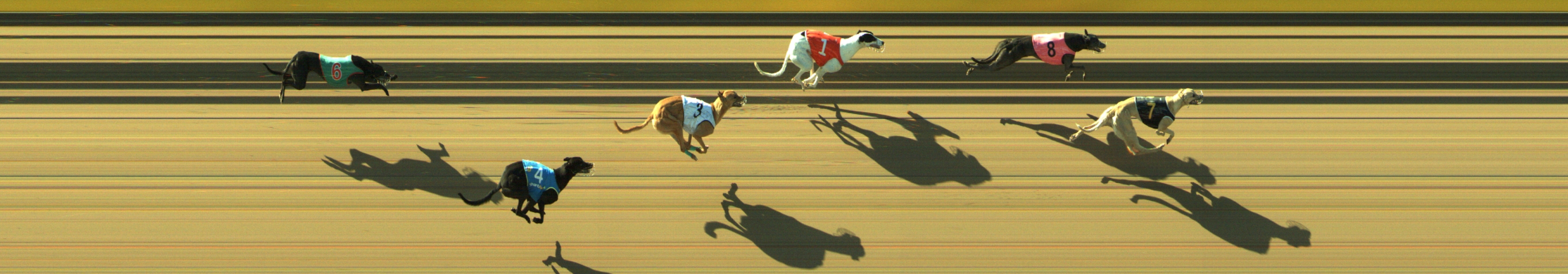 Photo finish for Geelong Race 10