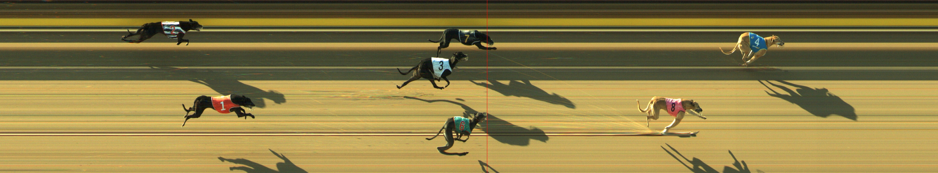 Race result finish photo