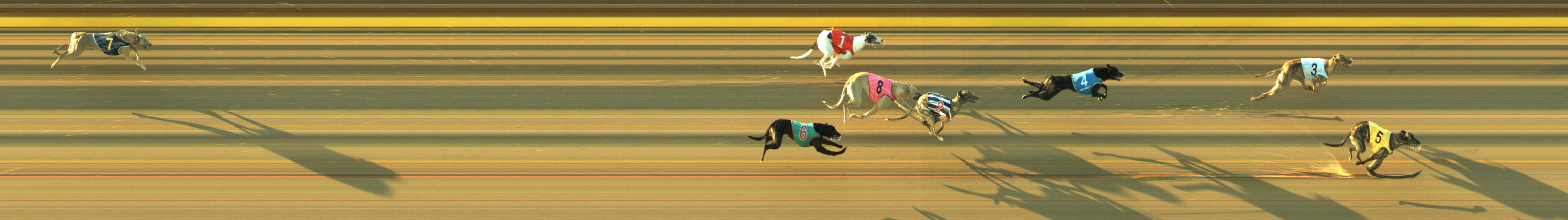 Photo finish for Geelong Race 13